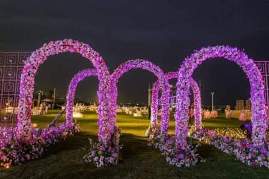 bangalore wedding planners, wedding planner bangalore careers, wedding planners bangalore best price, wedding planners in bangalore, wedding planner business in bangalore